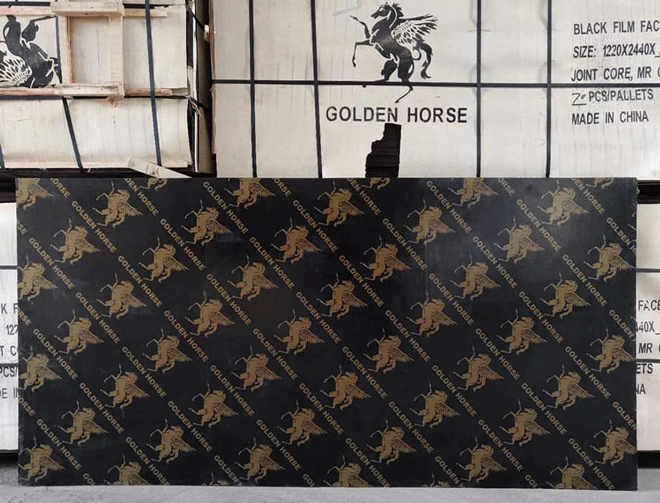 golden-horse-film-faced-plywood-chin-supplier