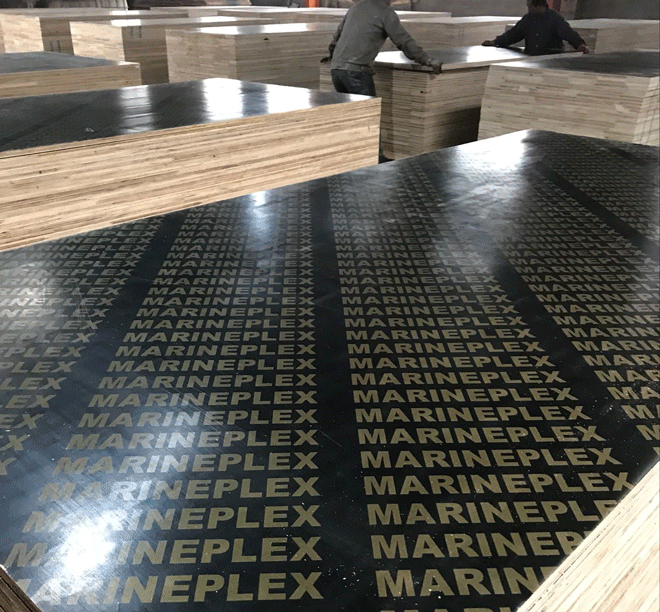marineplex film faced plywood linyi.gif