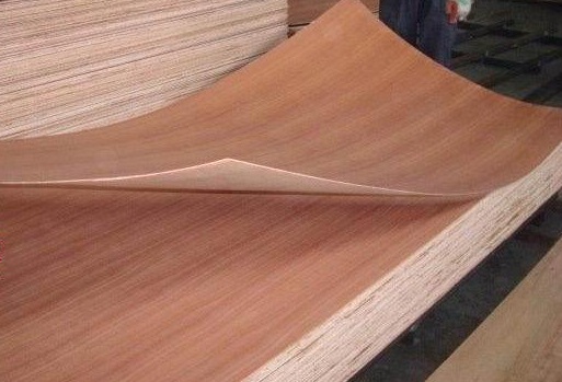Natural Sapele Fancy Plywood_poplar_core.jpg