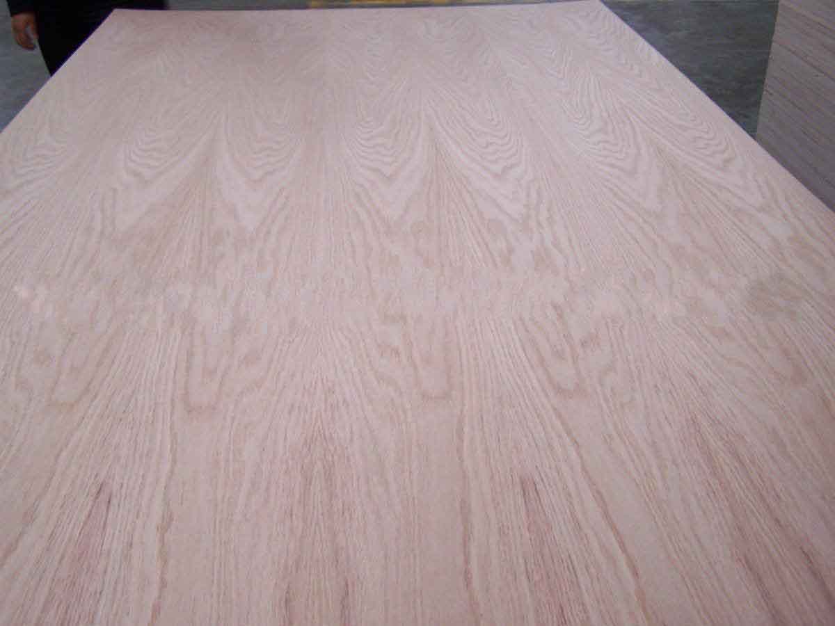 red oak plywood china manufacturer.jpg