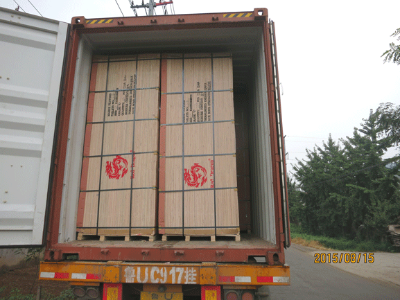 bingtangor-plywood-China-su.gif